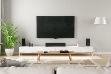 Modern living room with TV and speaker system